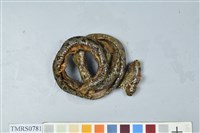 藏品(菊池氏龜殼花)的圖片